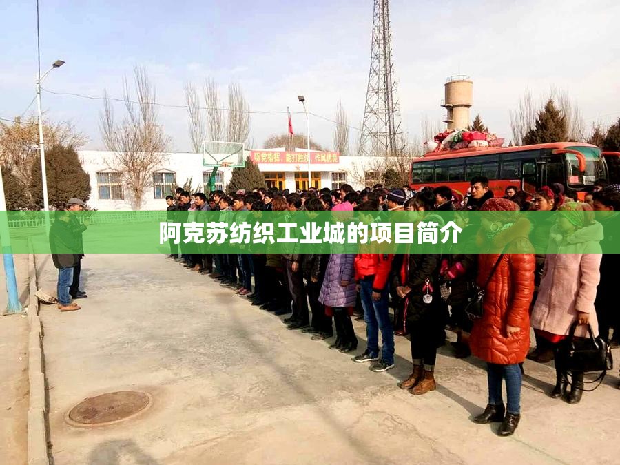 阿克苏纺织工业城的项目简介 阿克苏纺织工业城的项目简介