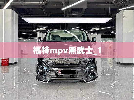 福特mpv黑武士_1 福特mpv黑武士_1