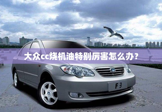 大众cc烧机油特别厉害怎么办? 大众cc烧机油特别厉害怎么办?