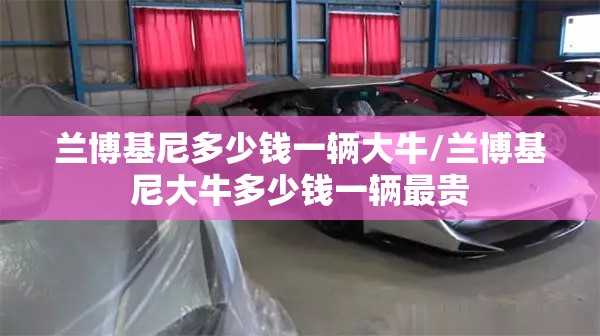 兰博基尼多少钱一辆大牛/兰博基尼大牛多少钱一辆最贵 兰博基尼多少钱一辆大牛/兰博基尼大牛多少钱一辆最贵