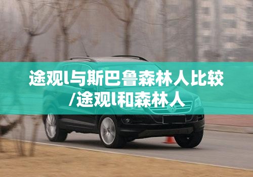 【a4的纸的尺寸是多少,a4的纸的尺寸是多少英寸】
