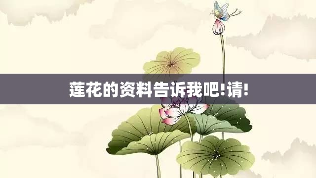 汽车2保一般要多少钱 汽车二次保养大概需要多少费用