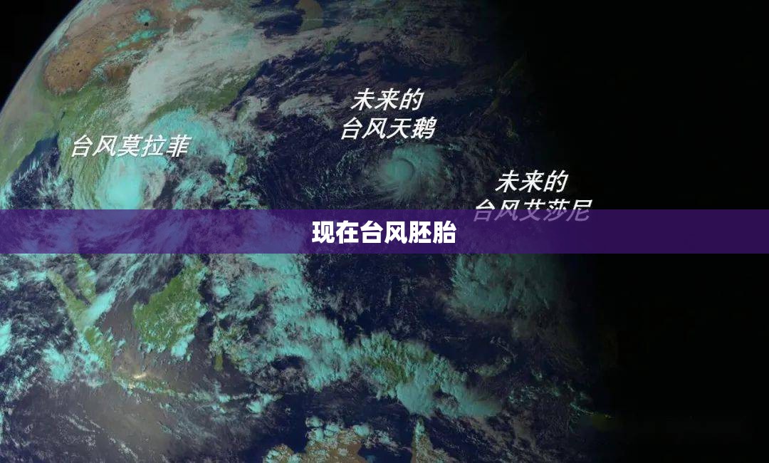 现在台风胚胎 现在台风胚胎