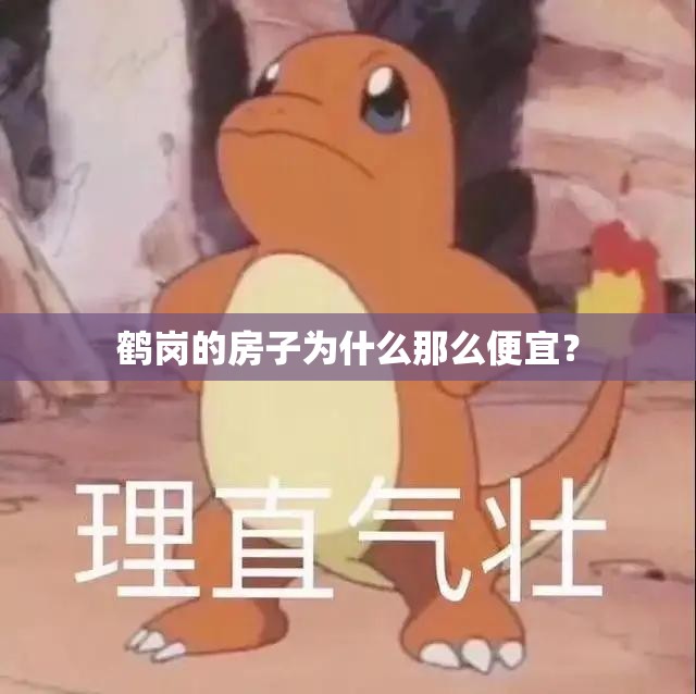 鹤岗的房子为什么那么便宜? 鹤岗的房子为什么那么便宜?