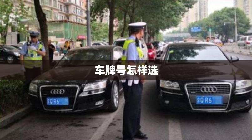 车牌号怎样选(车牌号在哪里查) 车牌号怎样选(车牌号在哪里查)