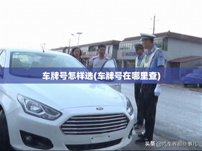 车牌号怎样选(车牌号在哪里查) 车牌号怎样选(车牌号在哪里查)