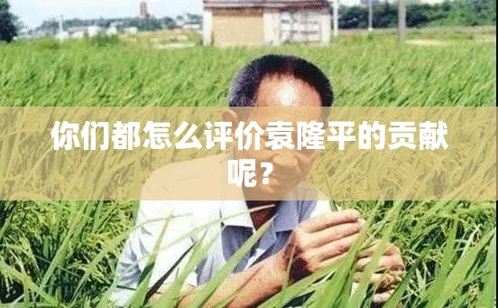 你们都怎么评价袁隆平的贡献呢? 你们都怎么评价袁隆平的贡献呢?