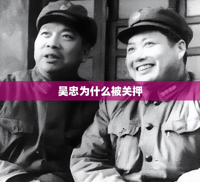吴忠为什么被关押 吴忠为什么被关押