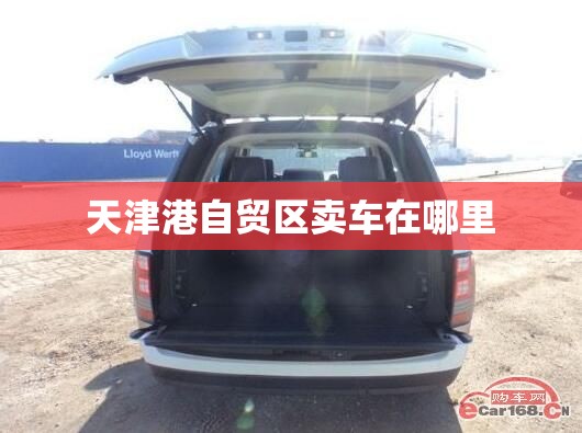 天津港自贸区卖车在哪里 天津港自贸区卖车在哪里