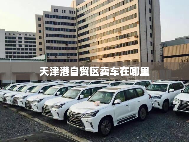 天津港自贸区卖车在哪里 天津港自贸区卖车在哪里
