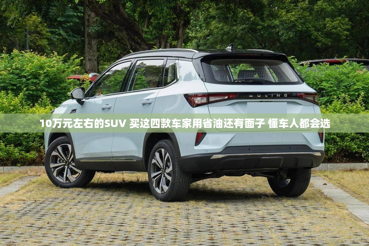 东海台风最新信息(东海台玻最新消息)