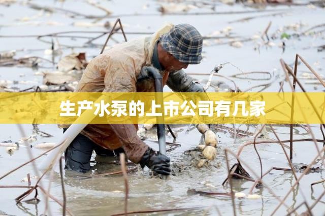 生产水泵的上市公司有几家 生产水泵的上市公司有几家