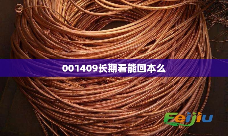 001409长期看能回本么 001409长期看能回本么