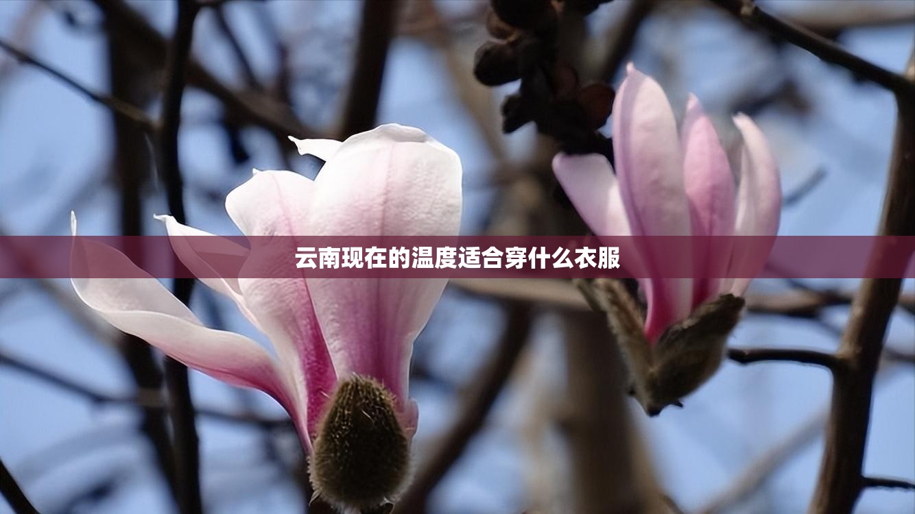 无车无证怎么注销自己名下的车