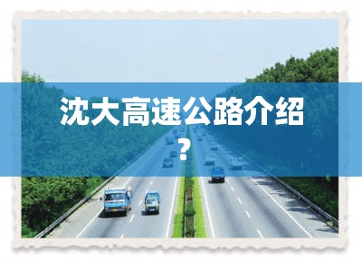沈大高速公路介绍? 沈大高速公路介绍?