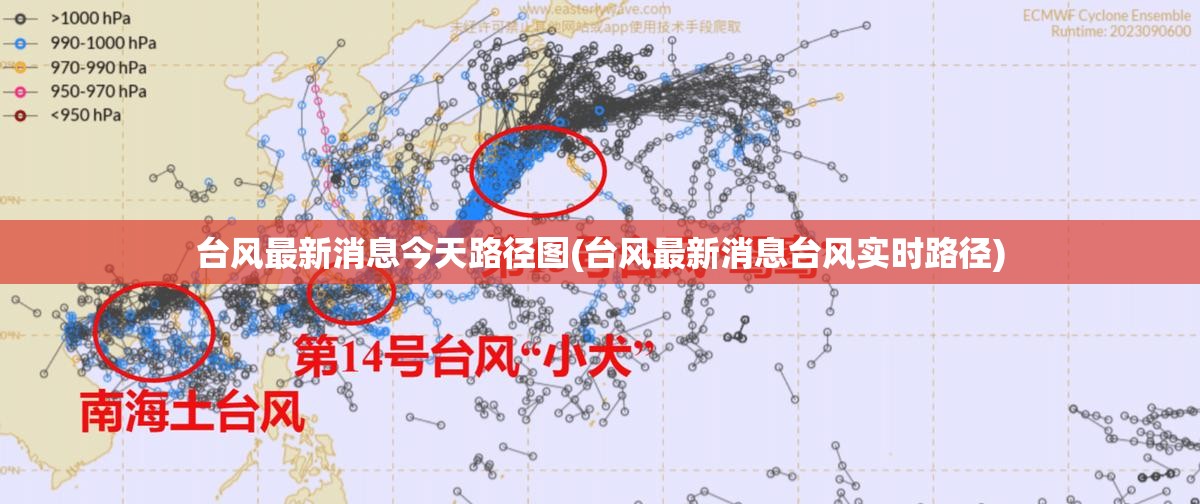 无车无证怎么注销自己名下的车