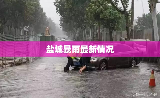 盐城暴雨最新情况/盐城暴雨最新情况视频 盐城暴雨最新情况/盐城暴雨最新情况视频