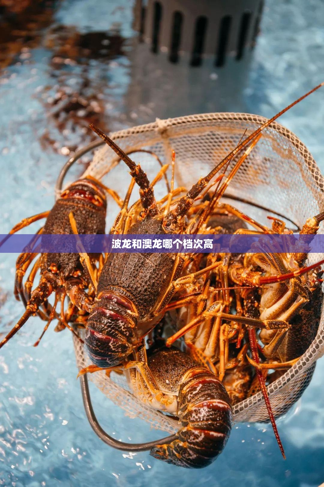 平桂天气预报/平桂天气预报15天准确率