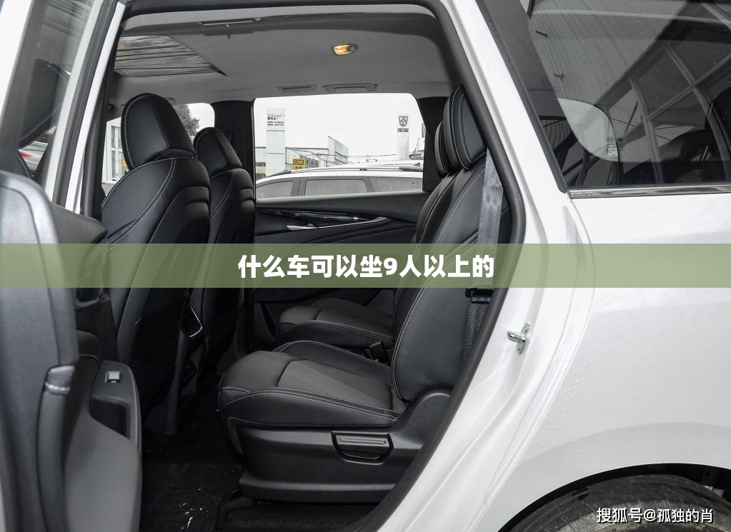 什么车可以坐9人以上的 什么车可以坐9人以上的