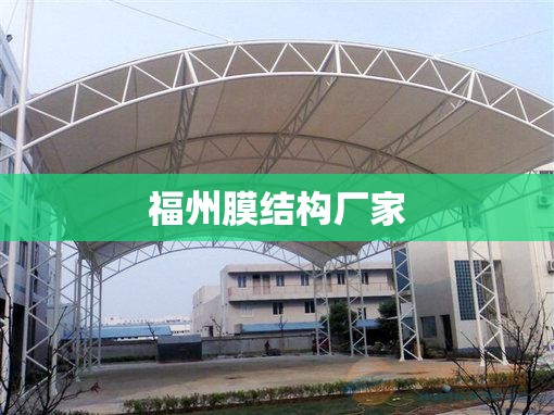 19款全新一代速腾什么颜色最好看