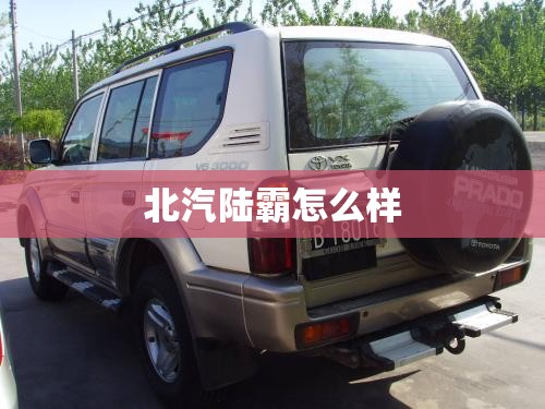 【最新台风情报,最新台风迹象】