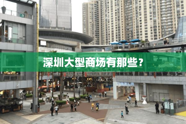 深圳大型商场有那些? 深圳大型商场有那些?