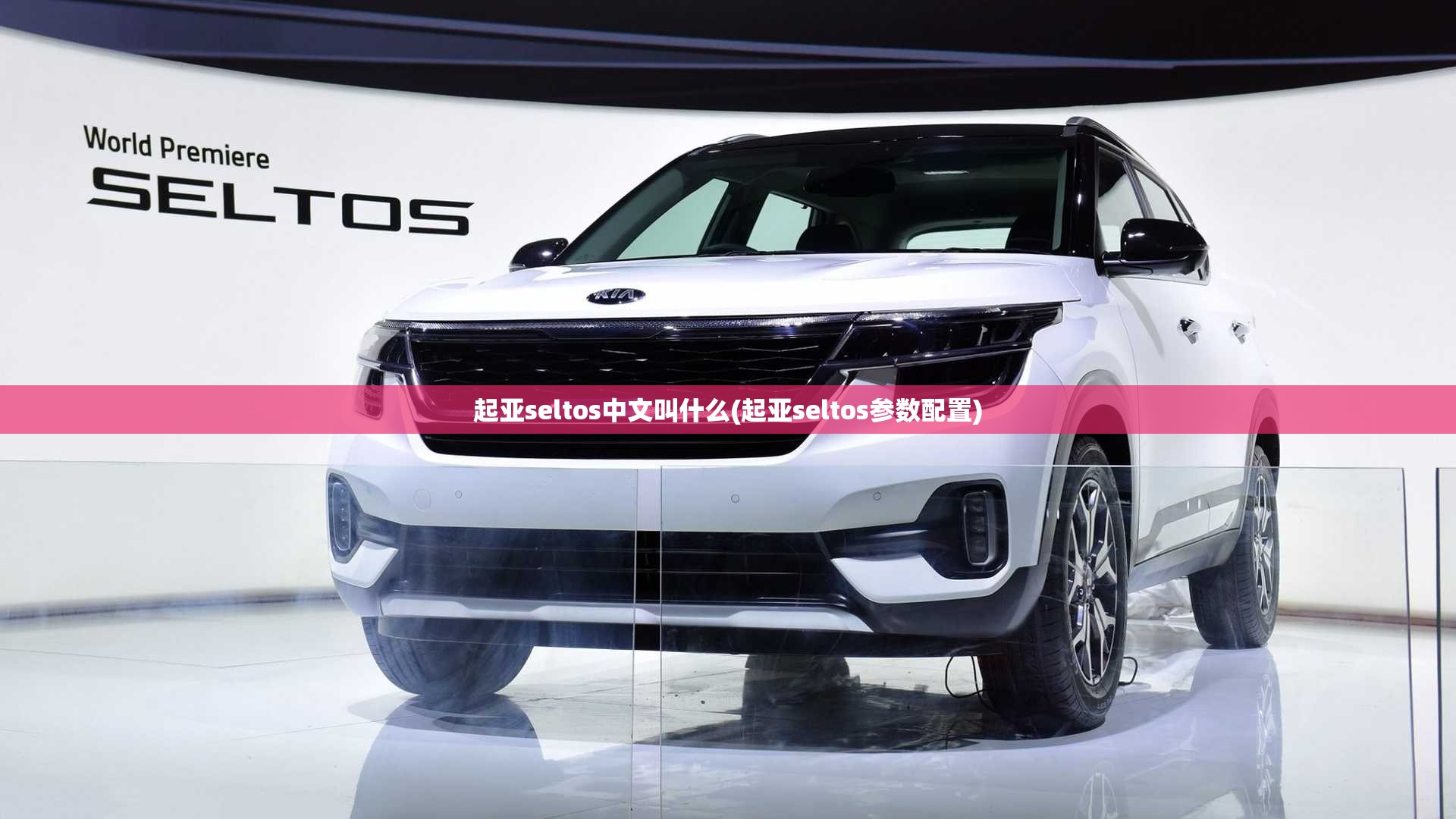 起亚seltos中文叫什么(起亚seltos参数配置) 起亚seltos中文叫什么(起亚seltos参数配置)