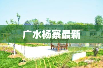 炒股软件免费版去哪里找？