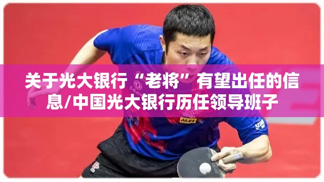 奇瑞路虎汽车费用及图片(奇瑞路虎百度百科)