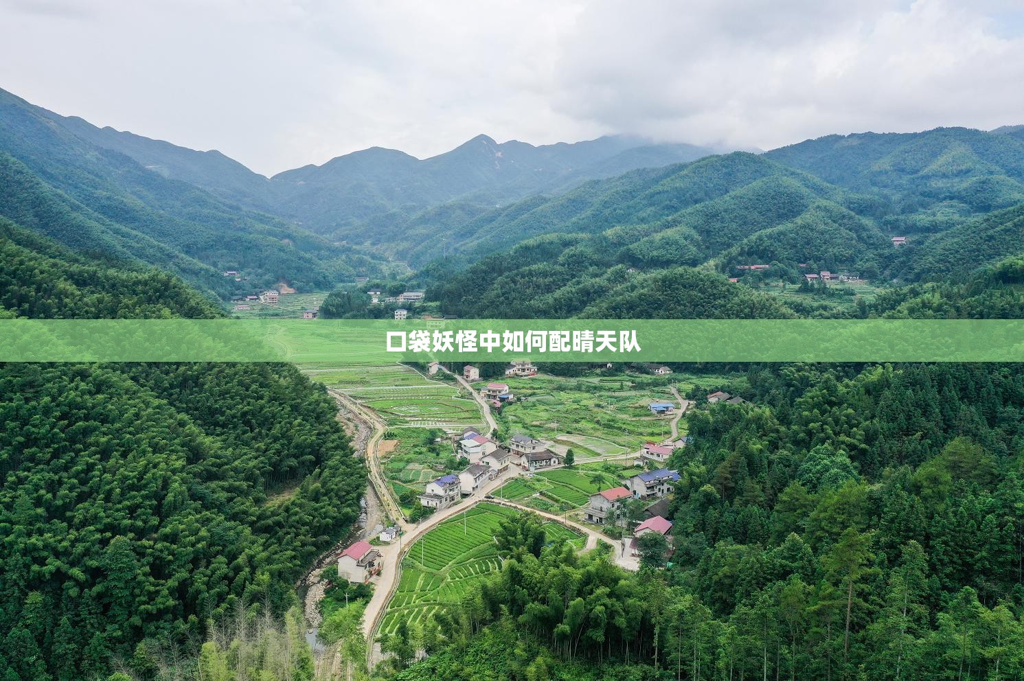 口袋妖怪中如何配晴天队 口袋妖怪中如何配晴天队