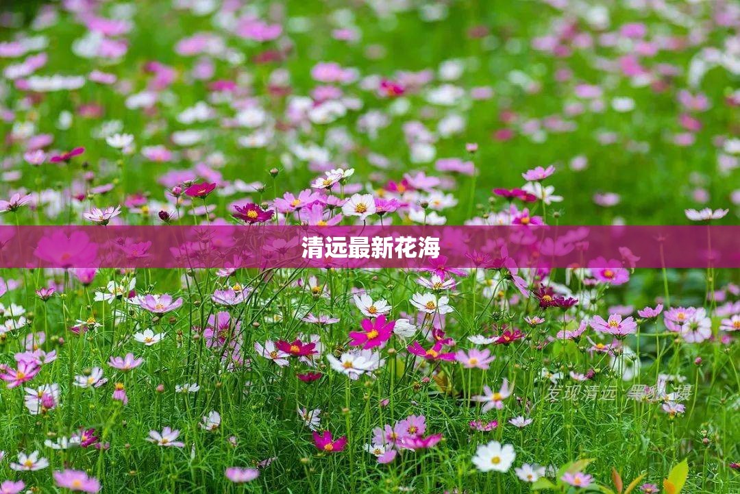忻州有什么好玩的呀