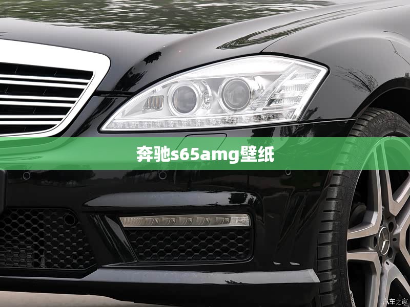 【奔驰s65amg壁纸,奔驰s600壁纸】 【奔驰s65amg壁纸,奔驰s600壁纸】