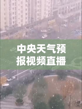 中央天气预报视频直播/cctv中央天气预报视频 中央天气预报视频直播/cctv中央天气预报视频