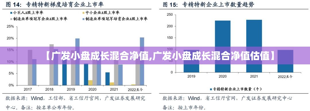【广发小盘成长混合净值,广发小盘成长混合净值估值】 【广发小盘成长混合净值,广发小盘成长混合净值估值】