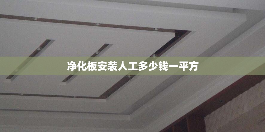 净化板安装人工多少钱一平方/净化板吊顶安装示意图 净化板安装人工多少钱一平方/净化板吊顶安装示意图