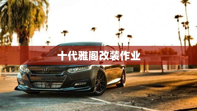 十代雅阁改装作业 十代雅阁改装作业