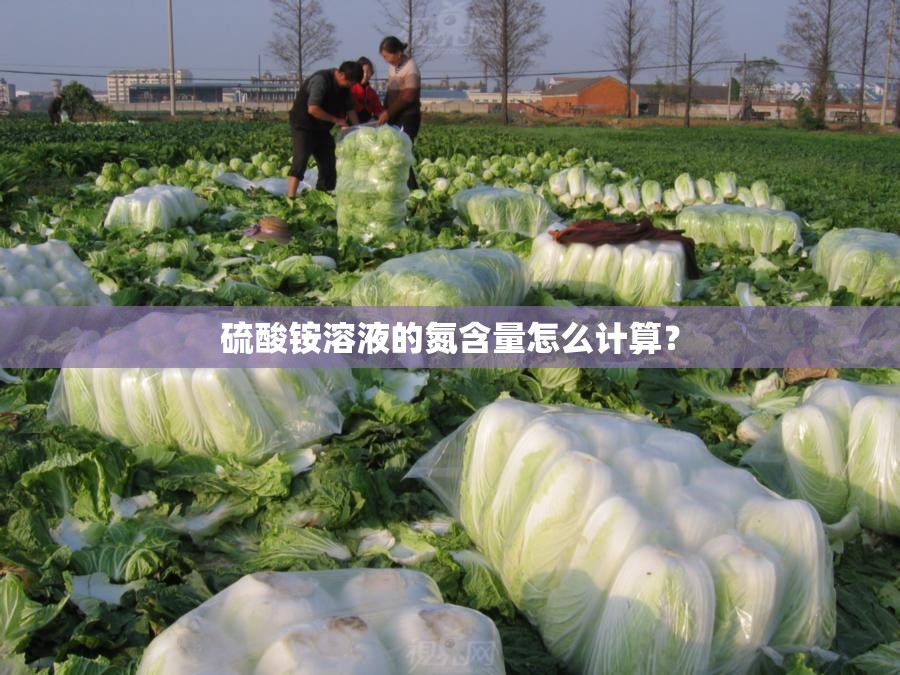 世界足球排名前100