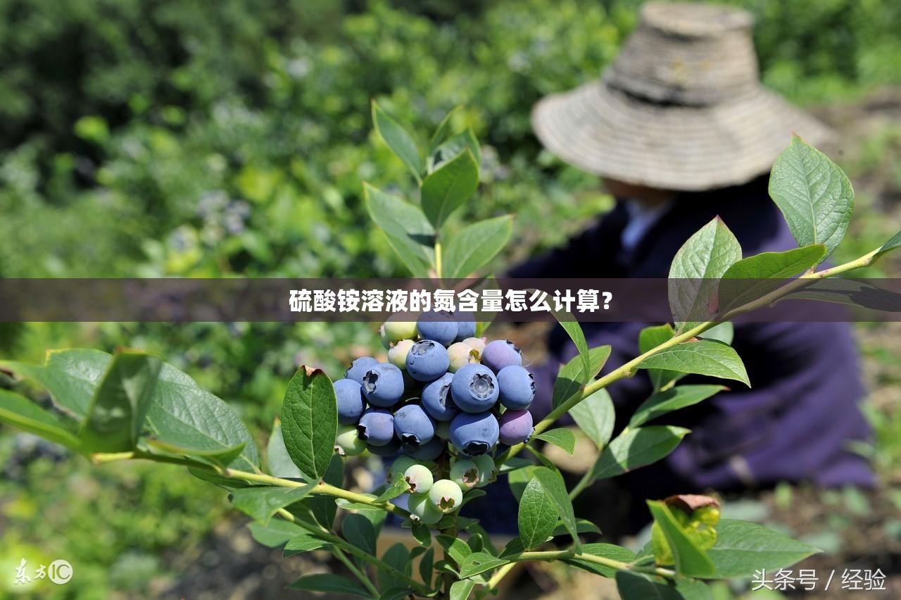 硫酸铵溶液的氮含量怎么计算? 硫酸铵溶液的氮含量怎么计算?