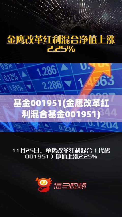 基金001951(金鹰改革红利混合基金001951) 基金001951(金鹰改革红利混合基金001951)