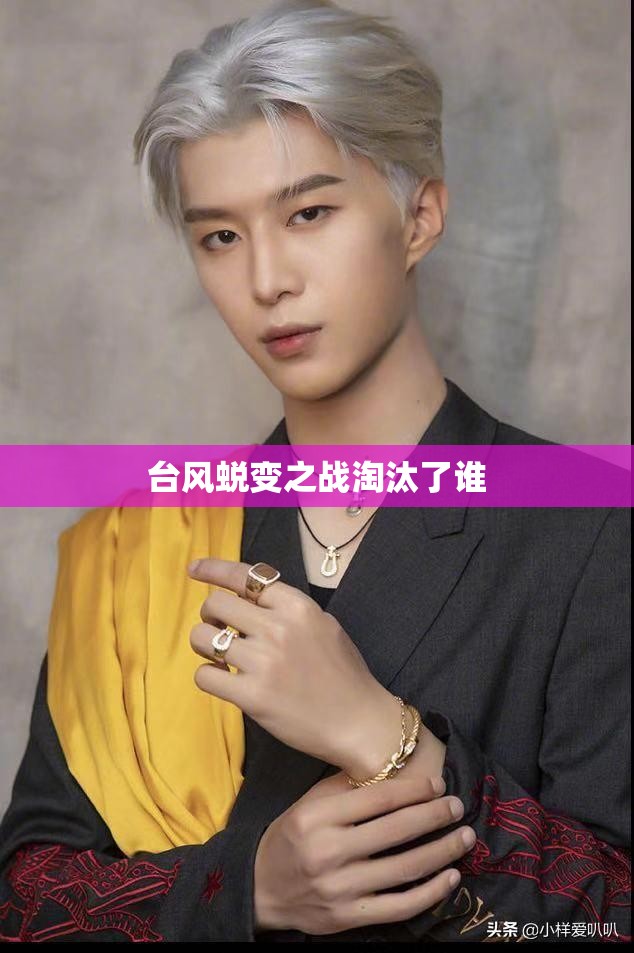 Panamera新能源新款落地价多少钱？