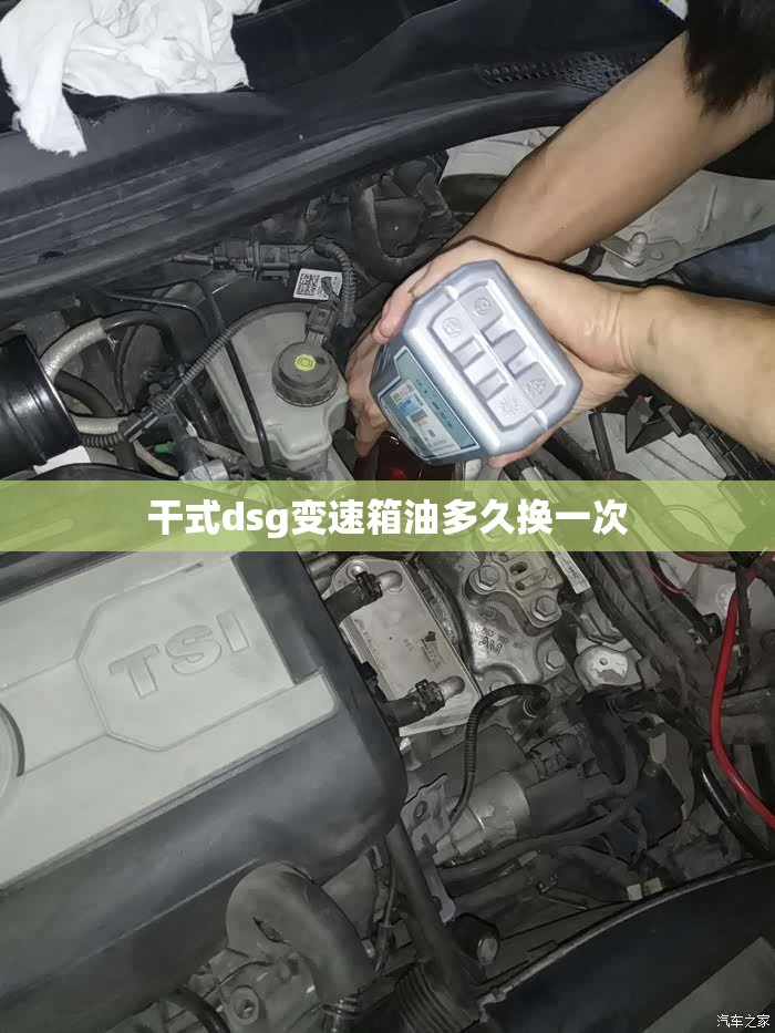 干式dsg变速箱油多久换一次 干式dsg变速箱油多久换一次