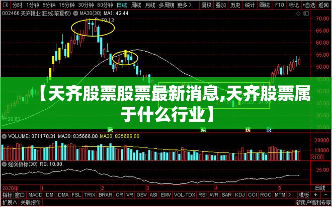 口碑最好的十大燃气灶品牌