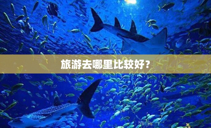 旅游去哪里比较好? 旅游去哪里比较好?