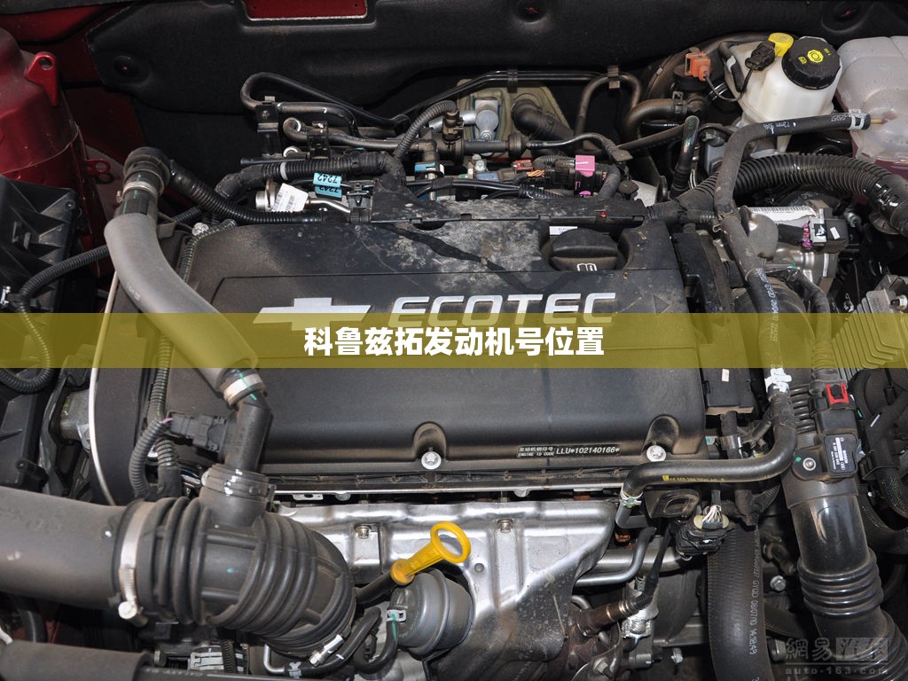 科鲁兹拓发动机号位置 科鲁兹拓发动机号位置