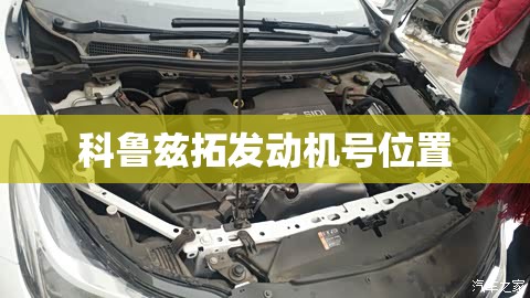 科鲁兹拓发动机号位置 科鲁兹拓发动机号位置