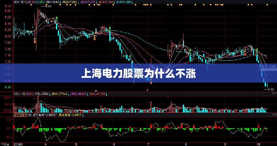 上海电力股票为什么不涨/上海电力股还能买吗 上海电力股票为什么不涨/上海电力股还能买吗