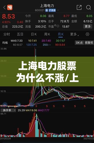 京运通(京运通26年预计目标价)
