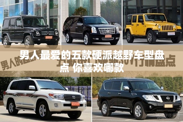 男人最爱的五款硬派越野车型盘点 你喜欢哪款 男人最爱的五款硬派越野车型盘点 你喜欢哪款