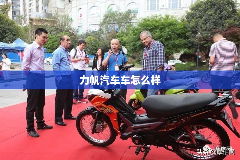 Panamera新能源新款落地价多少钱？