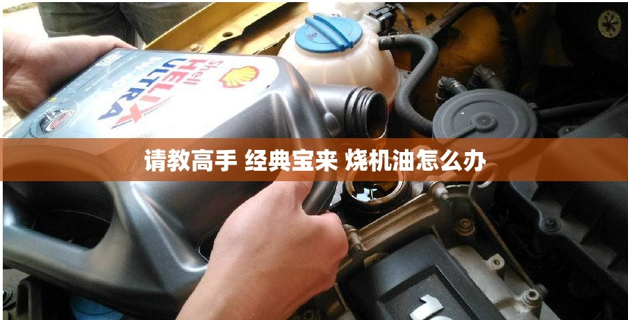 请教高手 经典宝来 烧机油怎么办 请教高手 经典宝来 烧机油怎么办